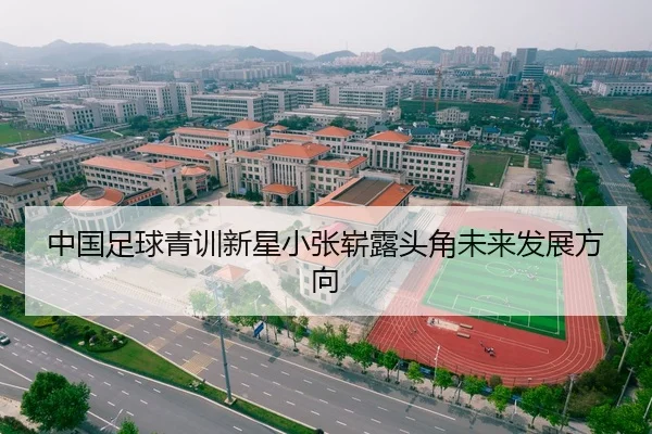 中国足球青训新星小张崭露头角未来发展方向